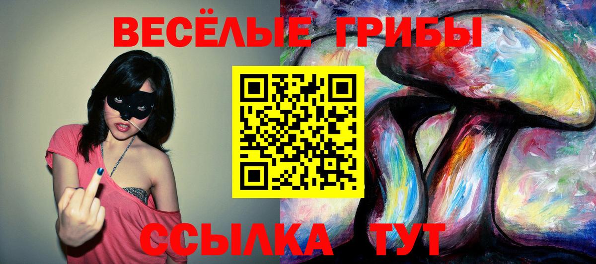 Псилоцибиновые грибы MAGIC MUSHROOMS  Псилоцибиновые грибы MAGIC MUSHROOMS  Вход с VPN  цены   Белорецк 
